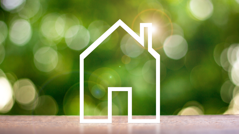 Eco-Friendly Home Improvements for Alabama Gulf Coast Properties | Bellator Real Estate